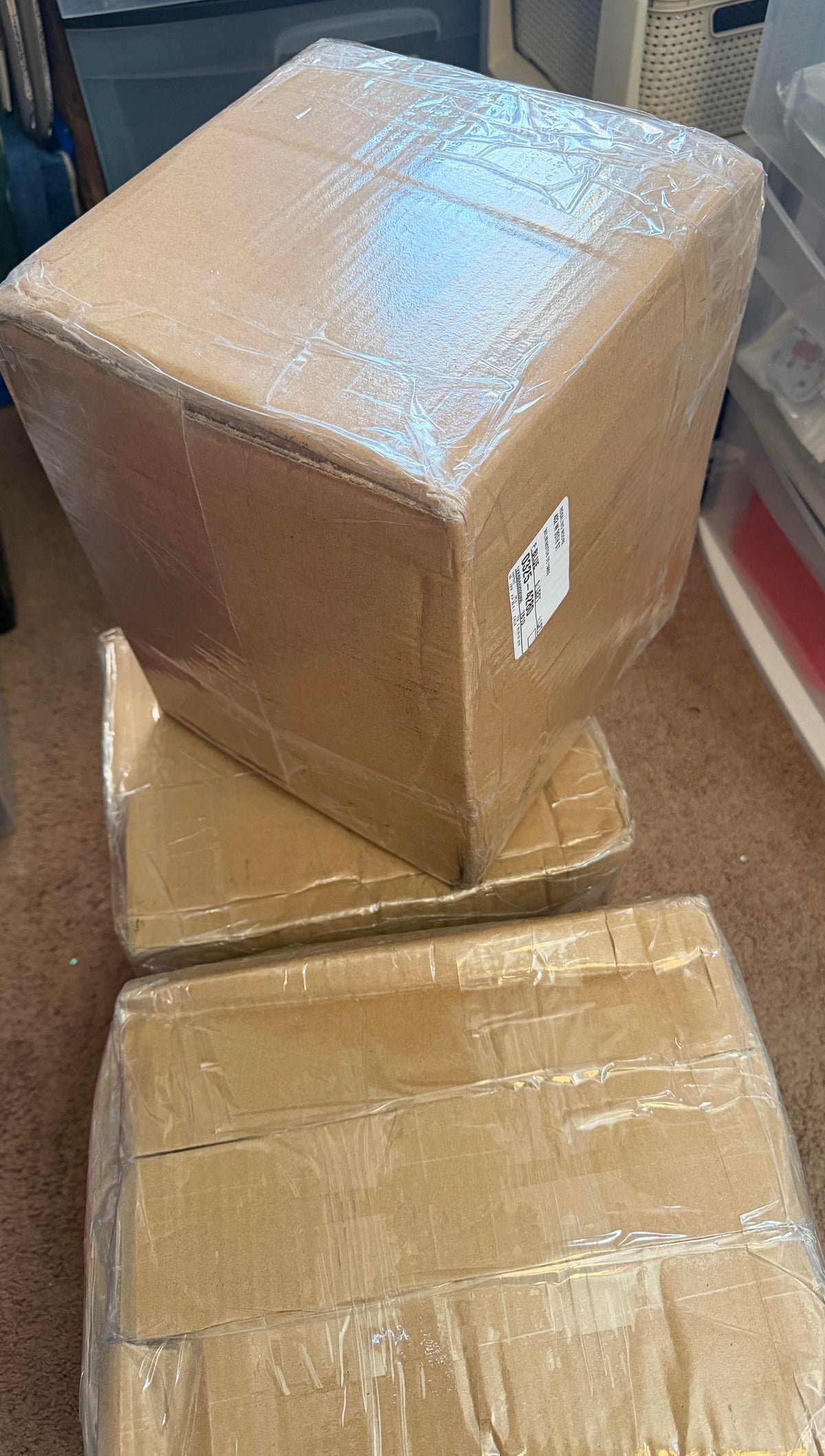 NEW ARRIVALS