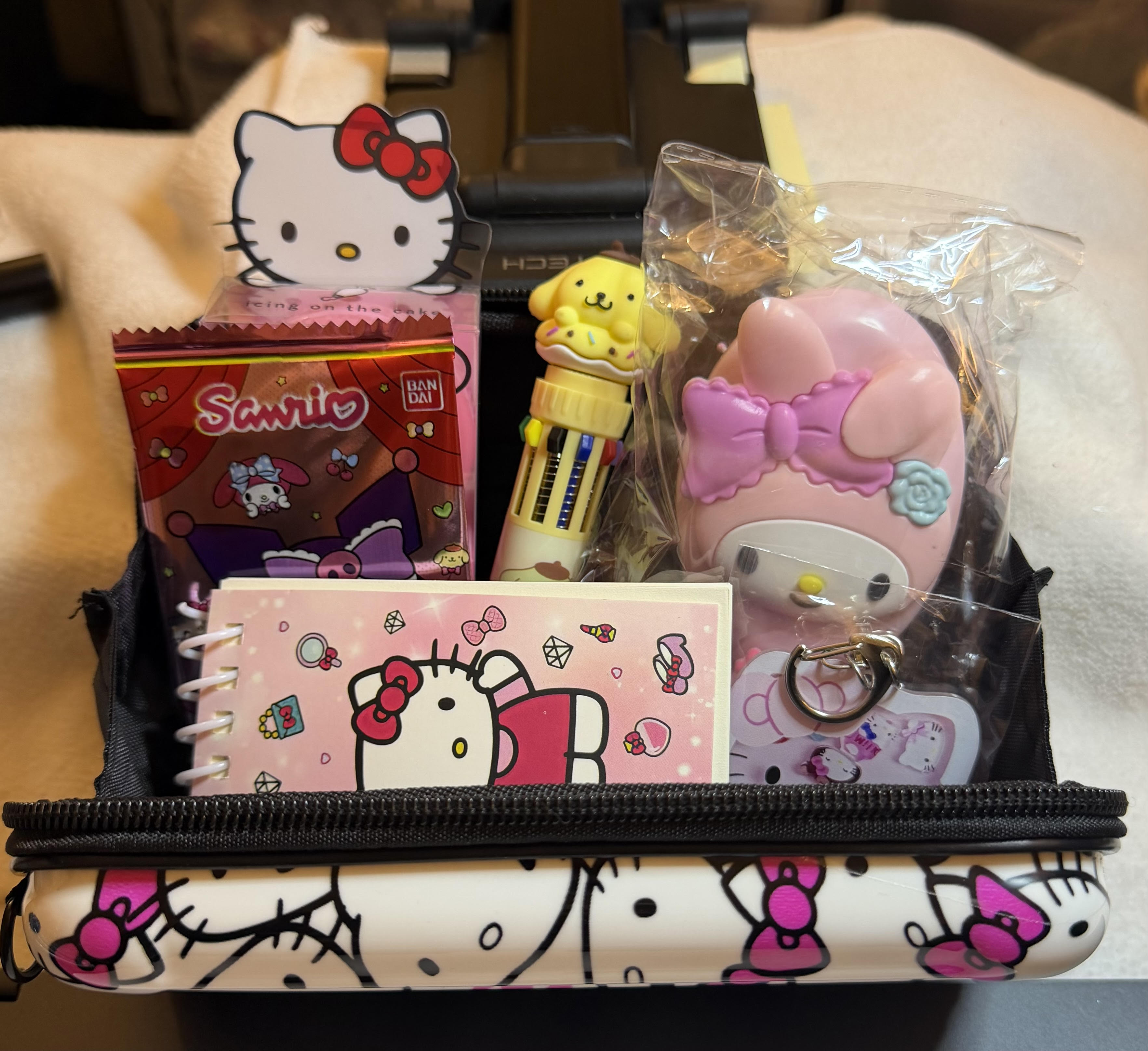 HK Packed camera case