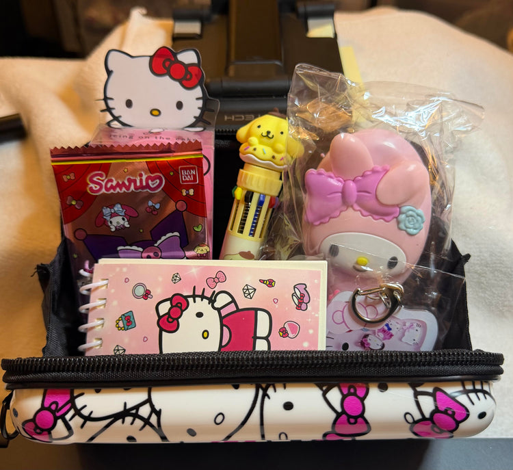 HK Packed camera case